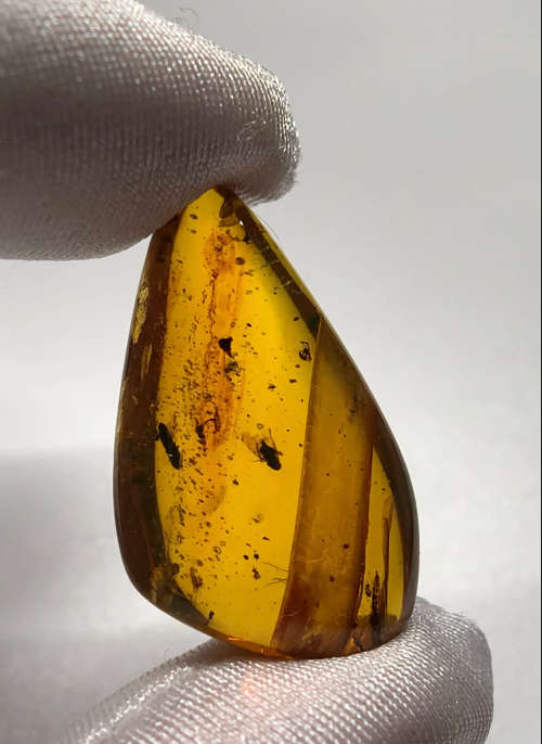 Authentic Insect Amber No.20215