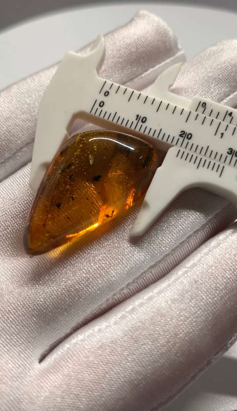 Authentic Insect Amber No.20215