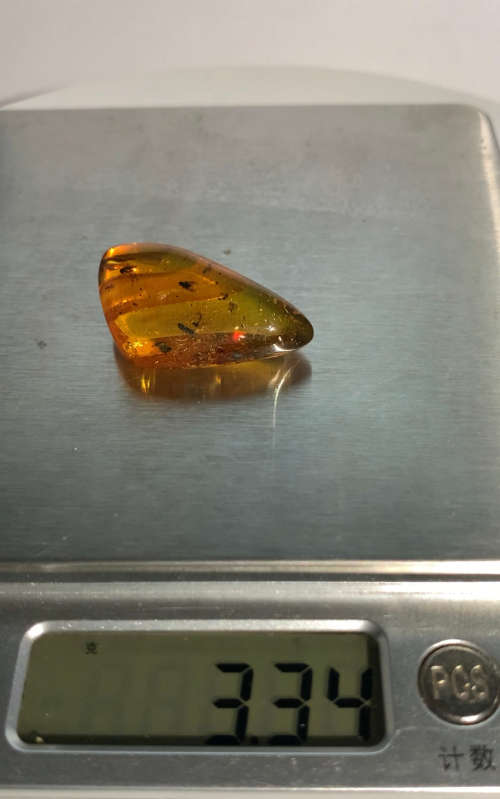 Authentic Insect Amber No.20215