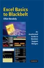 Excel Basics to Blackbelt - An Accelerated Guide to Decision Support Designs,  Elliot Be