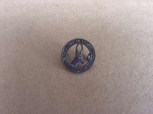 South African Cap Badge - UNION IS STRENGTH/ EENDRACHT MAAKT MACHT ***R1 START***