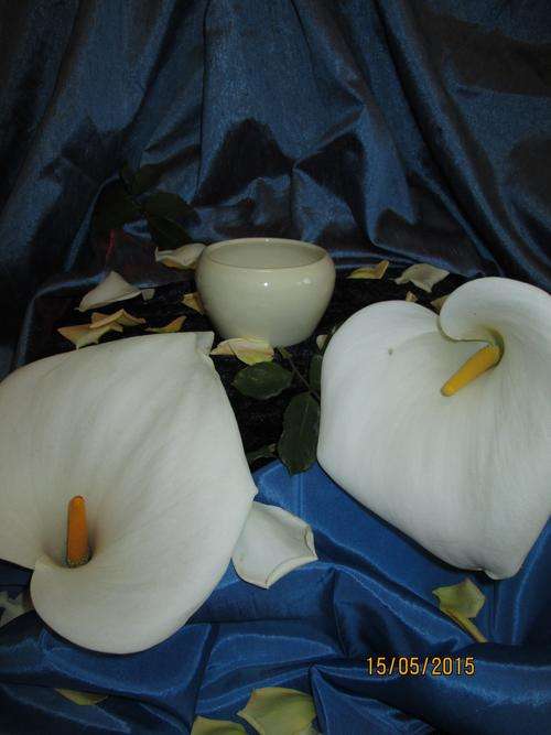 White pot