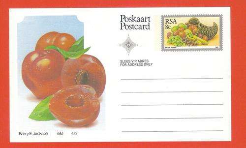 Postcard (S24)