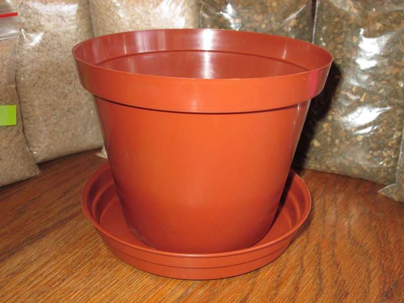12cm Terracotta pots with 12.5-15cm Saucer