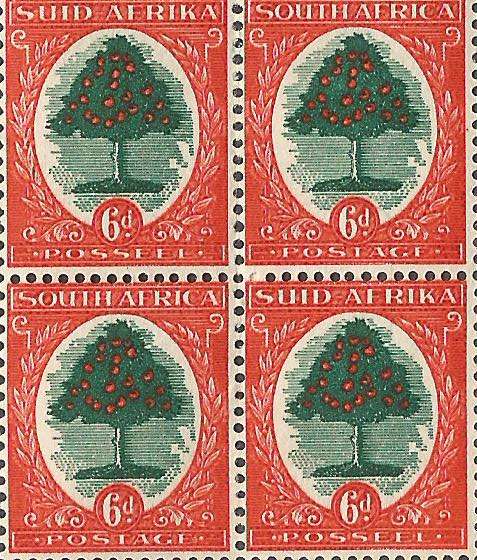 Union of South Africa SACC60a stronger background open scrolls -MNH CV R1300