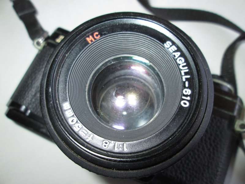Seagull DF300 Camera, with case / Collectable/ Vintage/ Sold As Is/ For Spares or Display.
