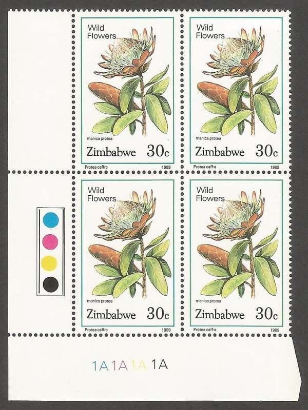Zimbabwe 1989 Wild Flowers Control Blocks