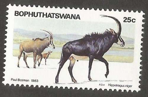 Bophuthatswana- MNH- Single- Thematic- Fauna- Wild Animals- 1983