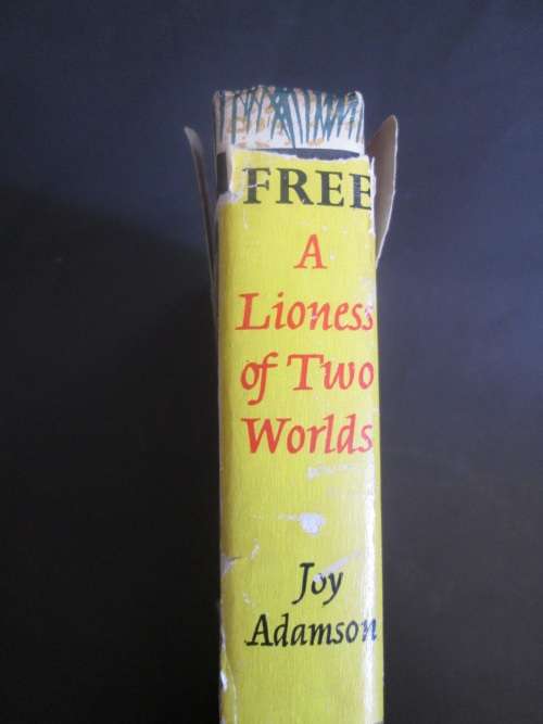 Born a Lioness of Two Worlds - Joy Adamson 1960 155 pages