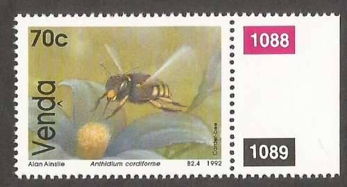 Venda - 1992 SACC239 Bees - MNH- Single Stamp- Thematic - Insect - Invertebrates