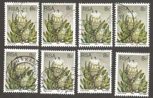 Republic of South Africa Grouping of  3rd Definitive Protea 8c. Post mark / Cancel