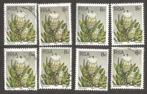 Republic of South Africa Grouping of  3rd Definitive Protea 8c. Post mark / Cancel