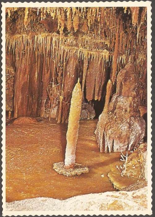 Post Card - Protea Colour Prints - REF C13- Cango Wonder Caves- Unused