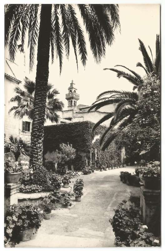Post Card - Unused- Mallorca. PALMA- H 76