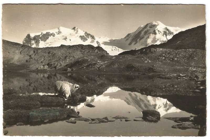 Post Card - 6709 Riffelsee ob Zermatt- Monte Rosa u. Lyskamm- No 1217 B R B- Unused