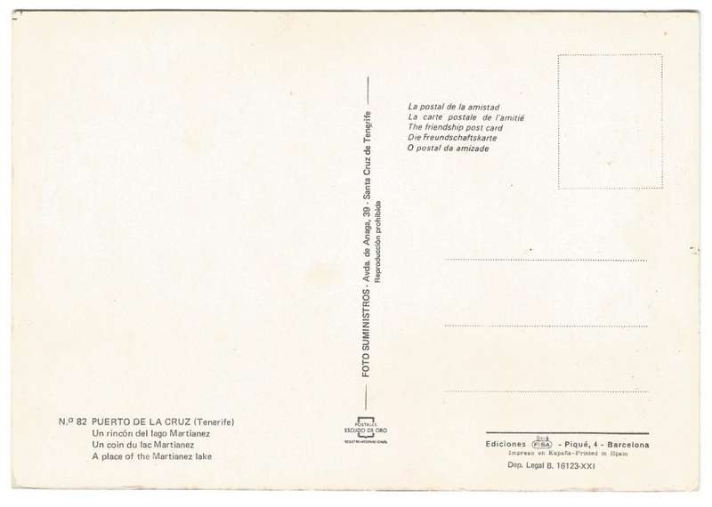 Post Card - PUERTO DE LA CRUZ- Tenerife- No 82- Unused
