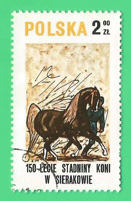 Poland- Used- Cancel- Postmark- Thematic- Transport- Horse- Fauna- Jockey