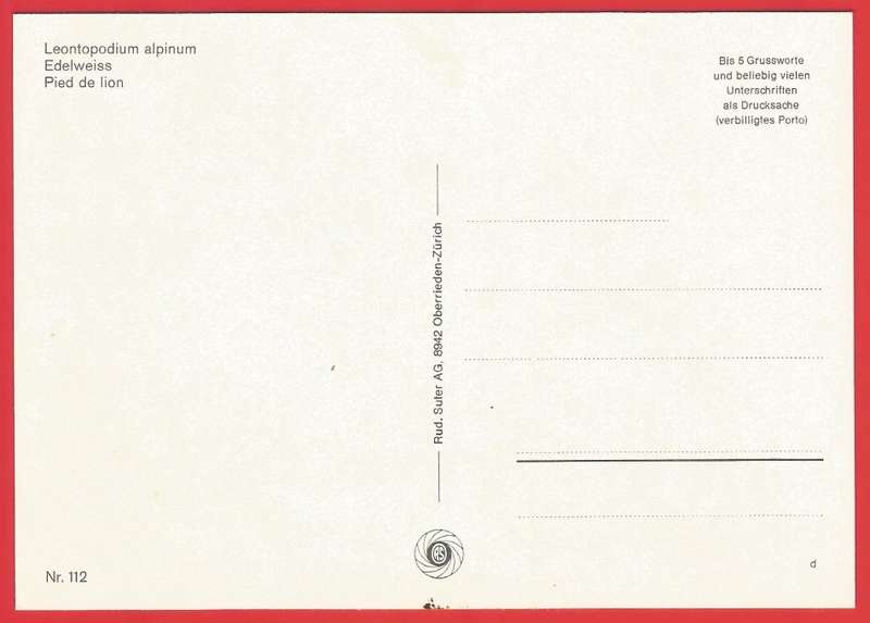 Postcard- Post Card- Unused- Thematic- Flora- Flowers