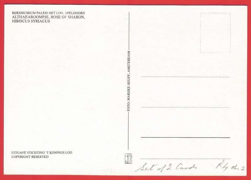 Postcard- Post Card- Unused- Thematic- Flora- Flowers