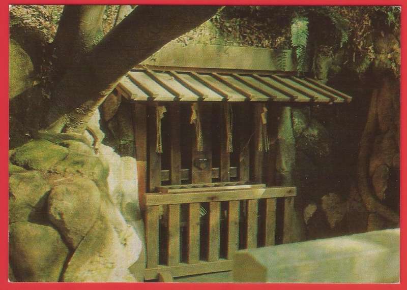 Postcard- Post Card- Unused- Thematic- Cave- Flora