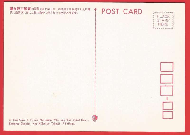 Postcard- Post Card- Unused- Thematic- Cave- Flora