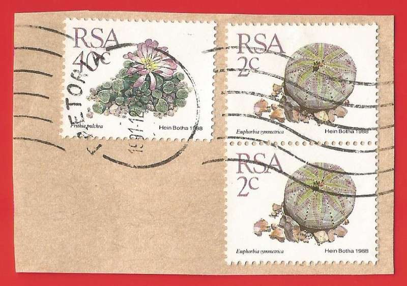 Republic of South Africa- Used- Cancel- Postmark- On Paper-Thematic-Flora