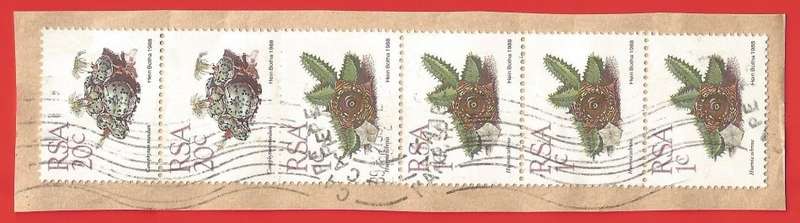Republic of South Africa- Used- Cancel- Postmark- On Paper-Thematic-Flora