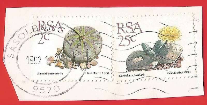 Republic of South Africa- Used- Cancel- Postmark- On Paper-Thematic-Flora