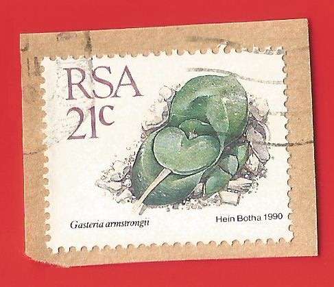 Republic of South Africa- Used- Cancel- Postmark- On Paper-Thematic-Flora