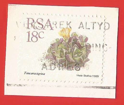Republic of South Africa- Used- Cancel- Postmark- On Paper-Thematic-Flora