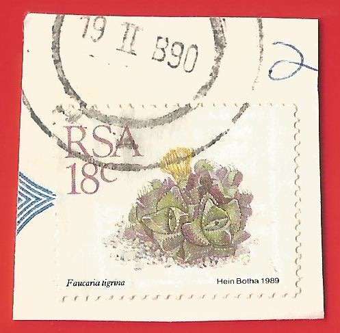 Republic of South Africa- Used- Cancel- Postmark- On Paper-Thematic-Flora