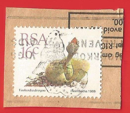 Republic of South Africa- Used- Cancel- Postmark- On Paper-Thematic-Flora
