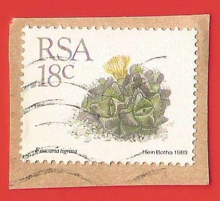 Republic of South Africa- Used- Cancel- Postmark- On Paper-Thematic-Flora