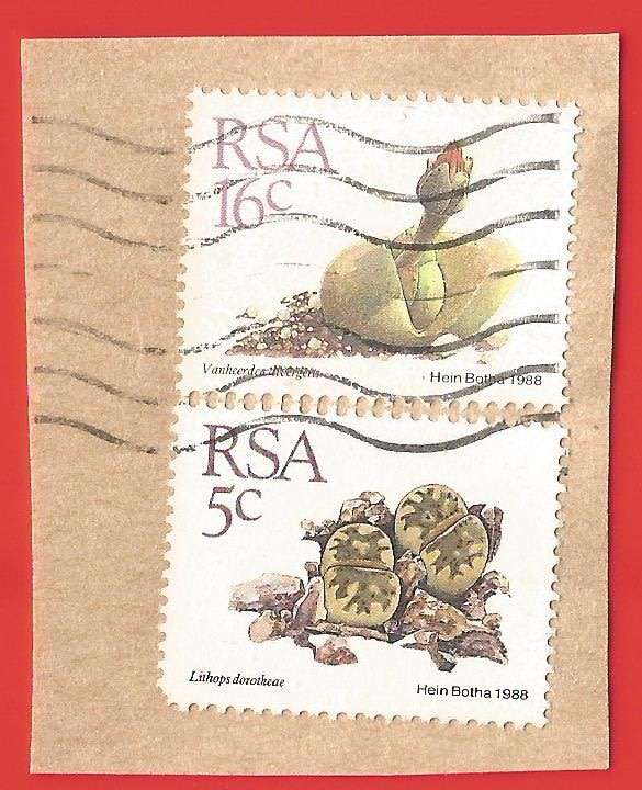 Republic of South Africa- Used- Cancel- Postmark- On Paper-Thematic-Flora