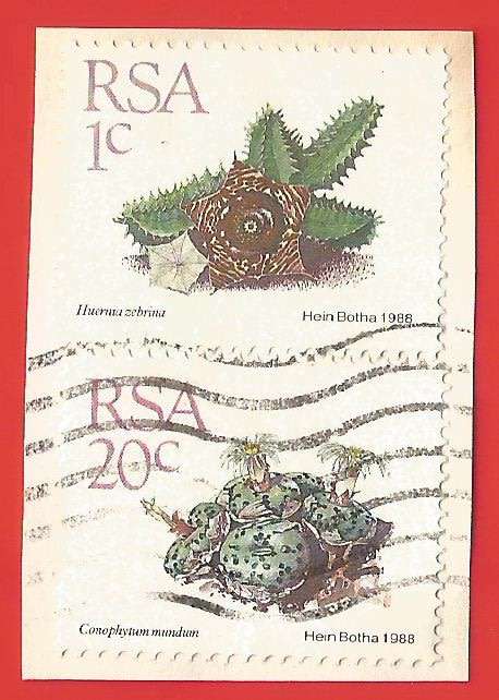 Republic of South Africa- Used- Cancel- Postmark- On Paper-Thematic-Flora