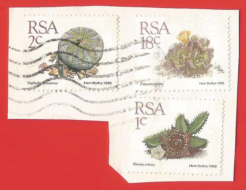 Republic of South Africa- Used- Cancel- Postmark- On Paper-Thematic-Floral