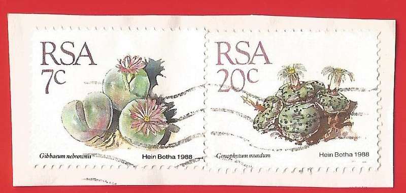 Republic of South Africa- Used- Cancel- Postmark- On Paper-Thematic-Flora