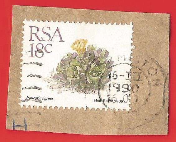 Republic of South Africa- Used- Cancel- Postmark- On Paper-Thematic-Flora