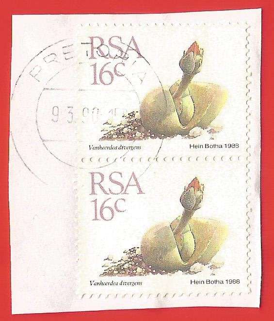 Republic of South Africa- Used- Cancel- Postmark- On Paper-Thematic-Floral