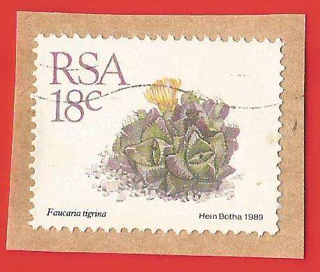 Republic of South Africa- Used- Cancel- Postmark- On Paper-Thematic-Floral