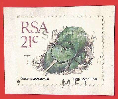 Republic of South Africa- Used- Cancel- Postmark- On Paper-Thematic-Floral