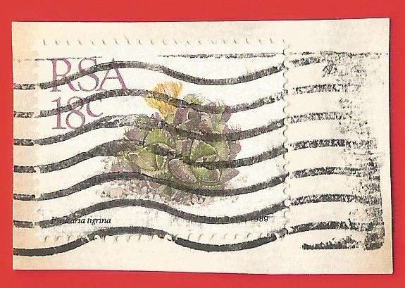 Republic of South Africa- Used- Cancel- Postmark- On Paper-Thematic-Floral