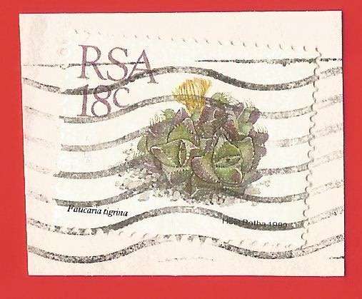 Republic of South Africa- Used- Cancel- Postmark- On Paper-Thematic-Floral
