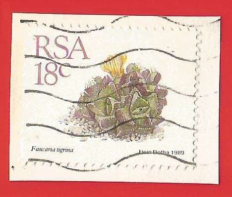 Republic of South Africa- Used- Cancel- Postmark- On Paper-Thematic-Floral