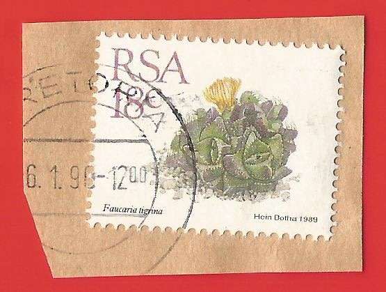 Republic of South Africa- Used- Cancel- Postmark- On Paper-Thematic-Floral