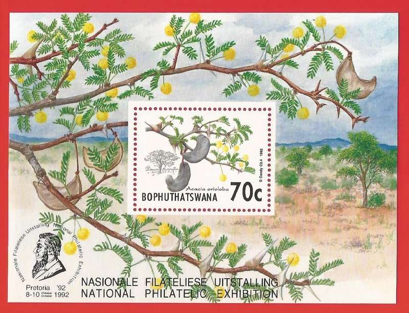 Bophuthatswana-1992- M/S-MNH- SACC 282a-Thematic-Flora-Trees-Acacia