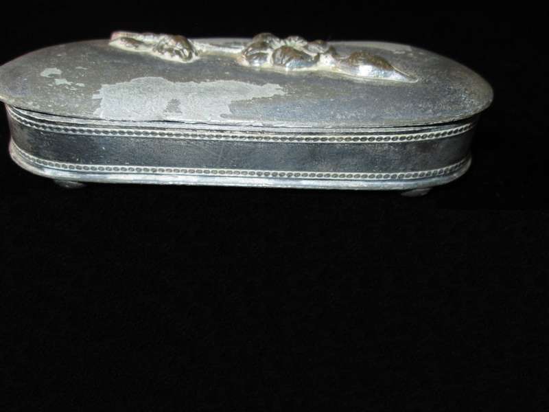 Pewter Flower Case The Von Bergh SPCQ Rochester NY. 6305