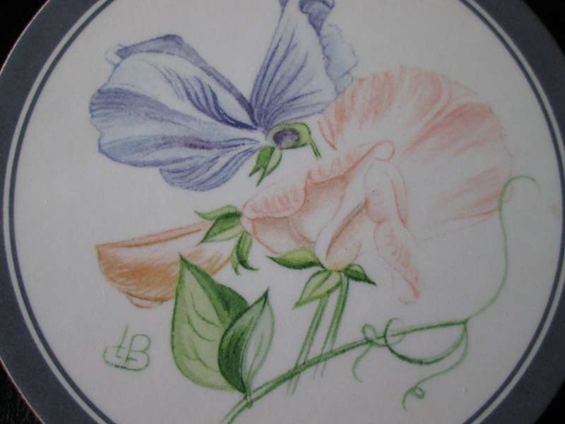Pimpernel Acrylic Six Round Coasters-Miniature Scarlet Flower-Made in England-Number 1262