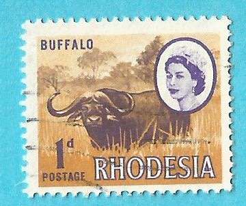 Rhodesia-1d-Buffalo-Used-Cancel-Thematic-Fauna-Buffalo