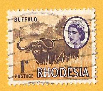 Rhodesia-1d-Cancel-Used-Thematic-Fauna-Buffalo